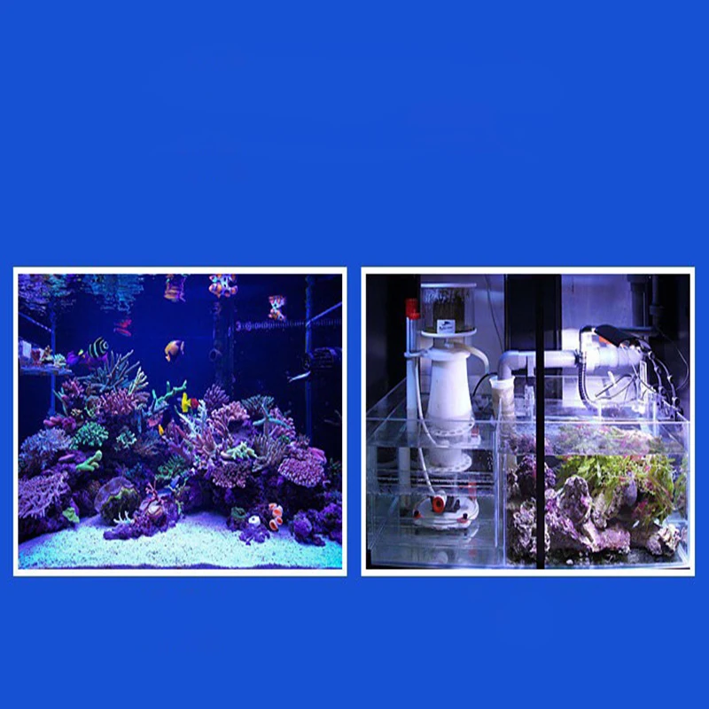 Bubble Magus BM Curve 7 внутренний конусный протеиновый скиммер насос для морской воды