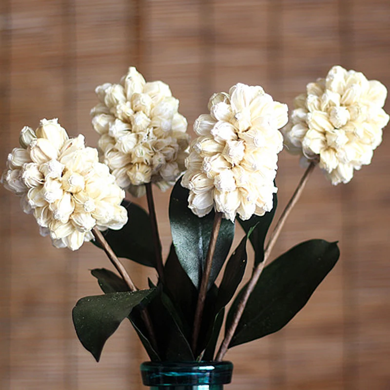 Один кусок гиацинта натуральный цветок ручной работы растительный Стик