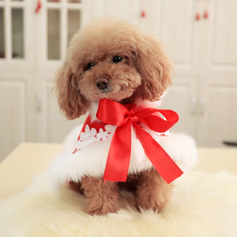 Одежда для собак PETCIRCLE одежда на зиму и осень плюшевый щенок бульдог чихуахуа
