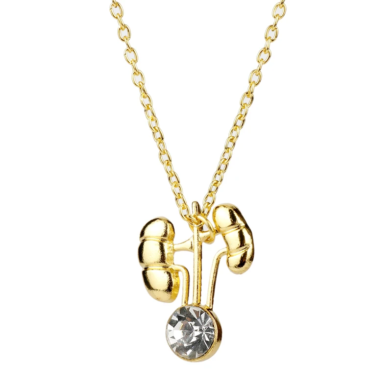 

Kidney Shape Pendant Necklace Medical Jewelry Gift for Nephrologist/Doctors Gold Color Necklace with Crystal Jewellery Hormones