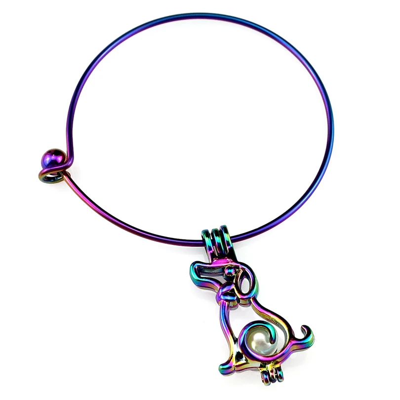 Браслет радужного Цвета Выберите жемчужную клетку подвеска собака