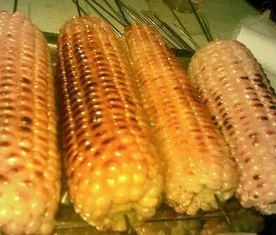 Ротационный кукурузный жаровня электрическая для кукурузы|oven light|oven usedoven shelf |