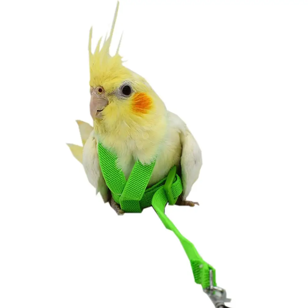 

Pet Products