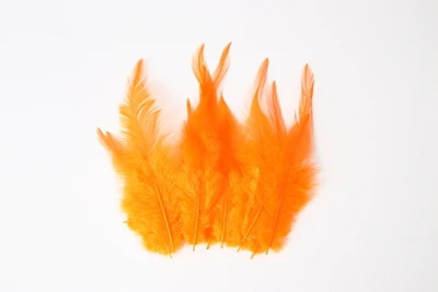 Orange 50pcs Натуральные перья фазана, 10-15 см, многоцветные, куриные перья, Плюм для рукоделия, свадебные украшения, рукоделие, украшение для дома, 50 шт - Цвет: Orange 50pcs