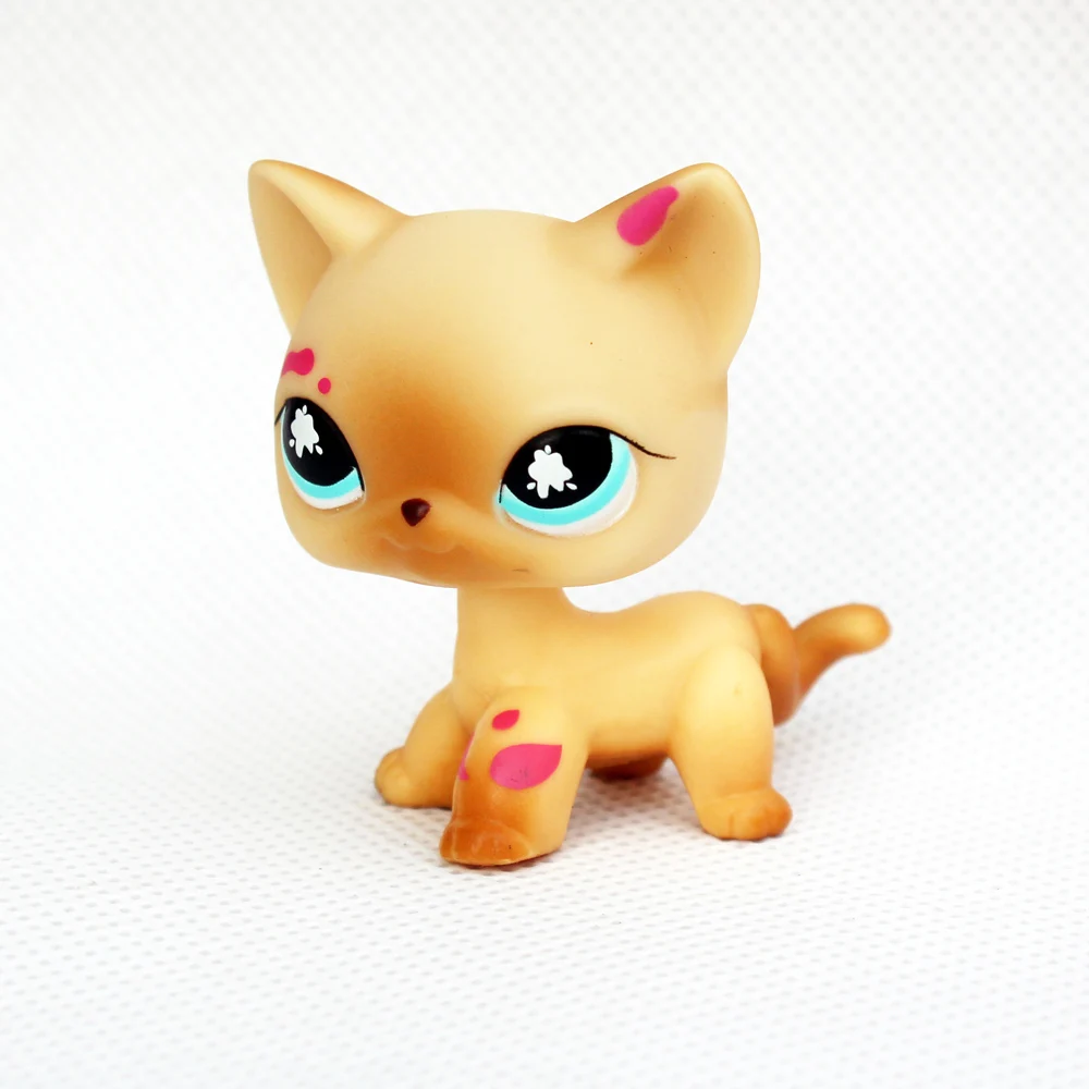 

LPS CAT Rare animal Littlest pet shop Bobble head toys standing original short hair cat #816 old real yellow kitty for kids