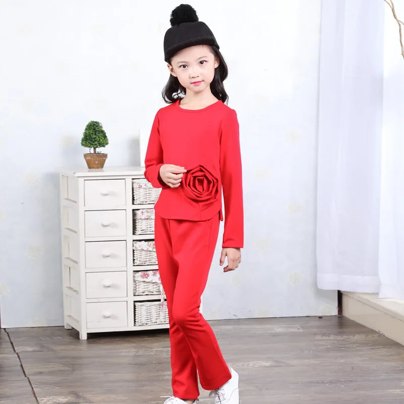 

Girls set 2018 spring long sleeves shirt / pants three-dimensional flowers 2 sets girls clothing 3-14y children's clothing