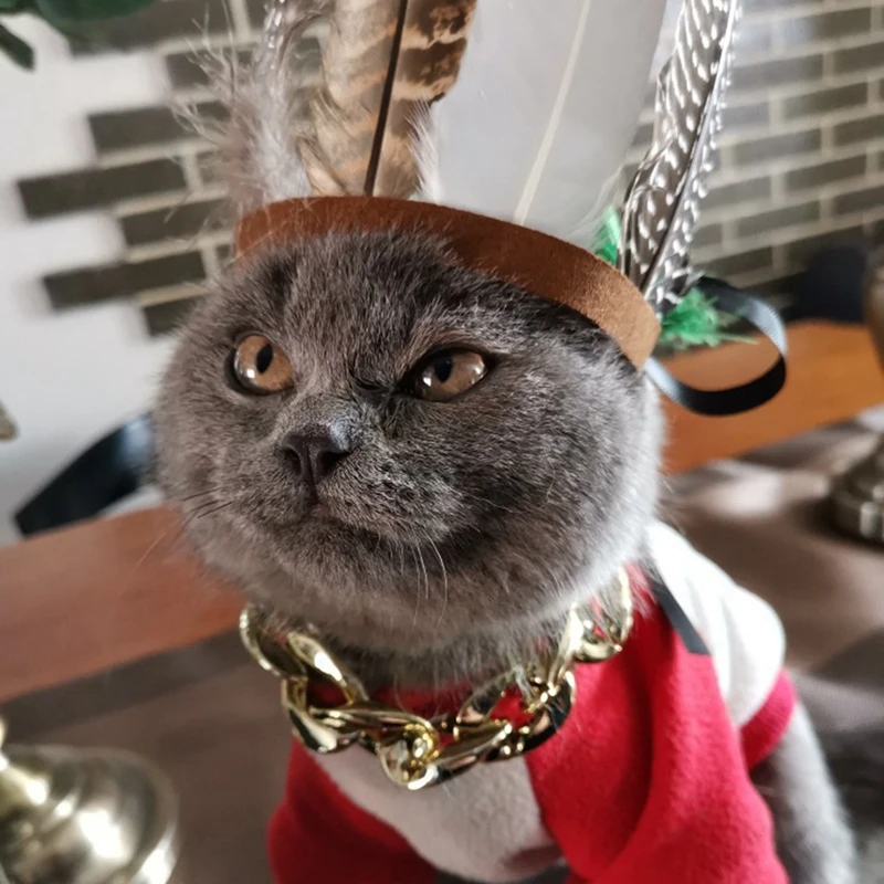 Регулируемая лента Кот Индийский стиль перо подшлемник костюм фестиваль косплей