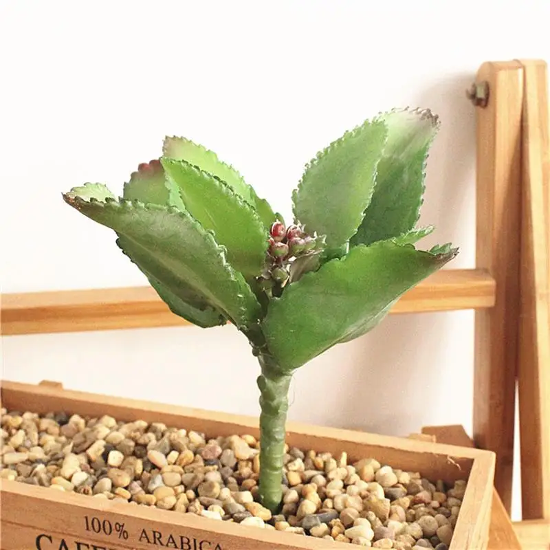 Искусственные суккуленты искусственные с цветами аксессуары для украшения сада