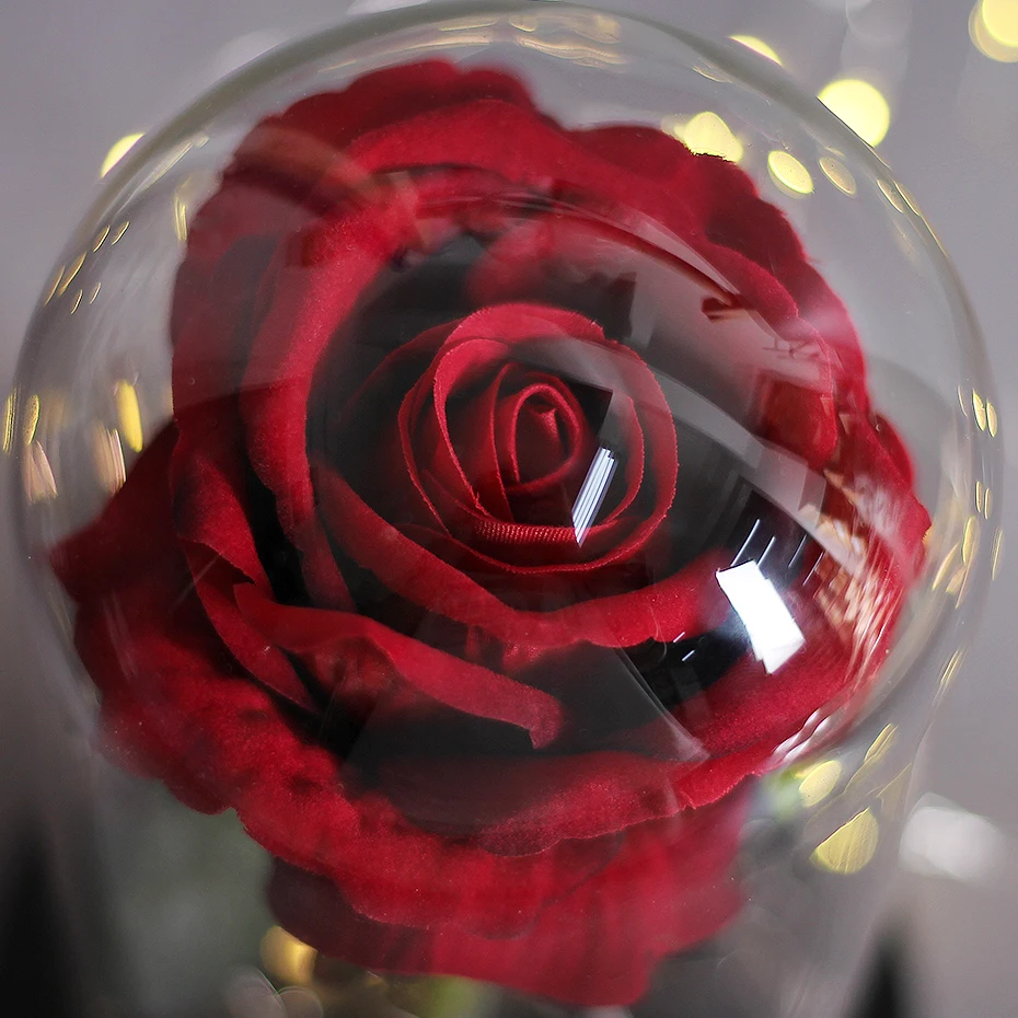 LED Eternal Flower Immortal Flora Light Up Dome Beauty and The Beast Rose In A Flask Valentine's Day Birthday Christmas Day Gift
