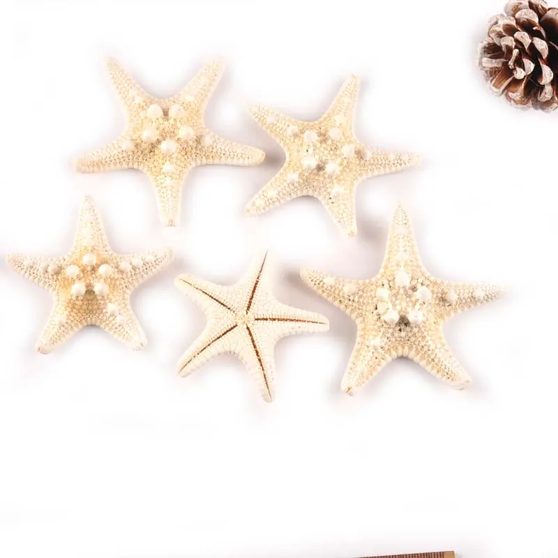 2 шт. натуральные морские звезды бежевые ракушки для свадебного украшения сделай