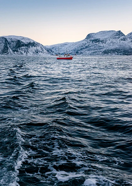 Норвежское море Альпы туман лес скандинавский искусство винтажные постеры из