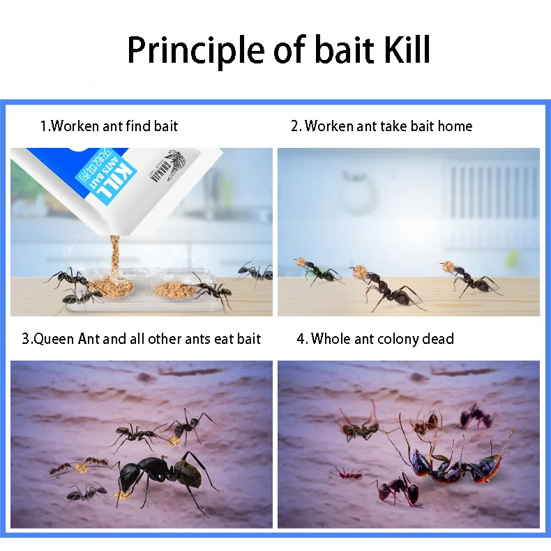 12 шт./лот лекарственные инсектициды Термит наживка порошок защита красные черные