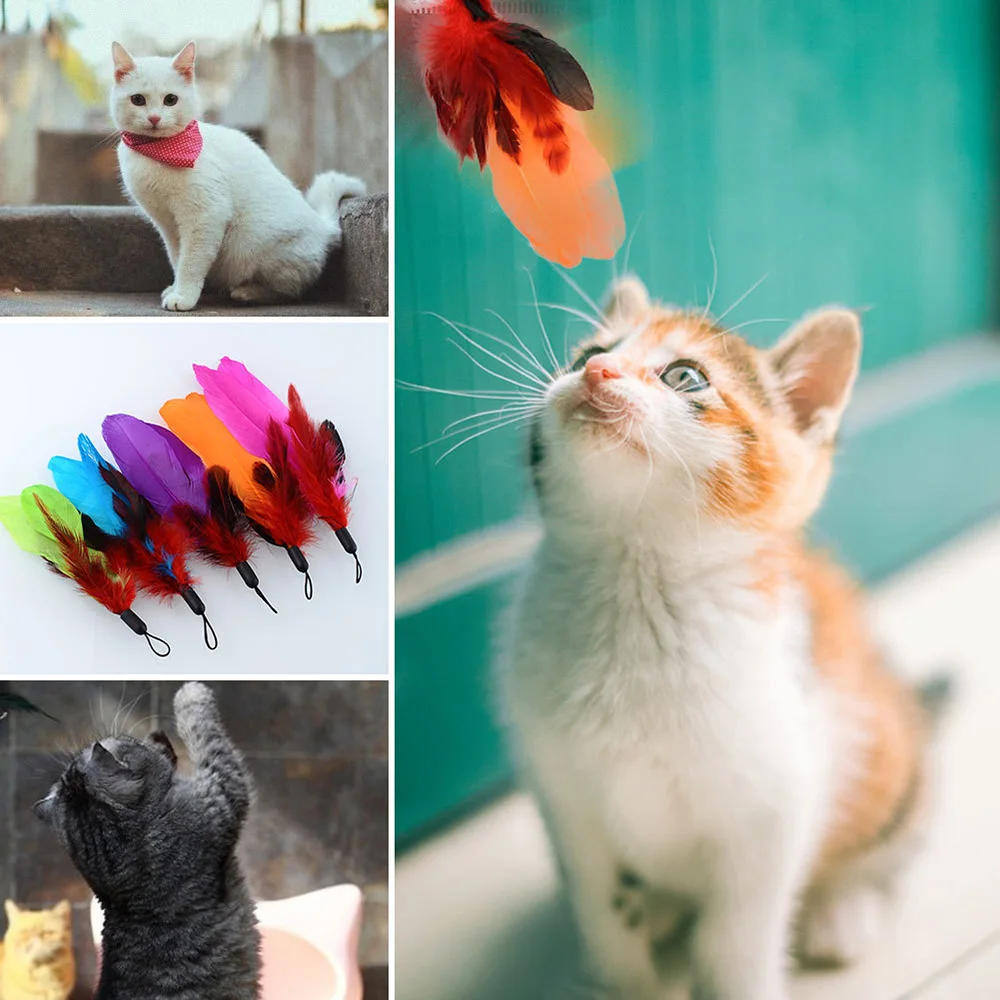 Кошка игрушка с перьями палка-игрушка для кота бреющая головка 9 шт./пакет