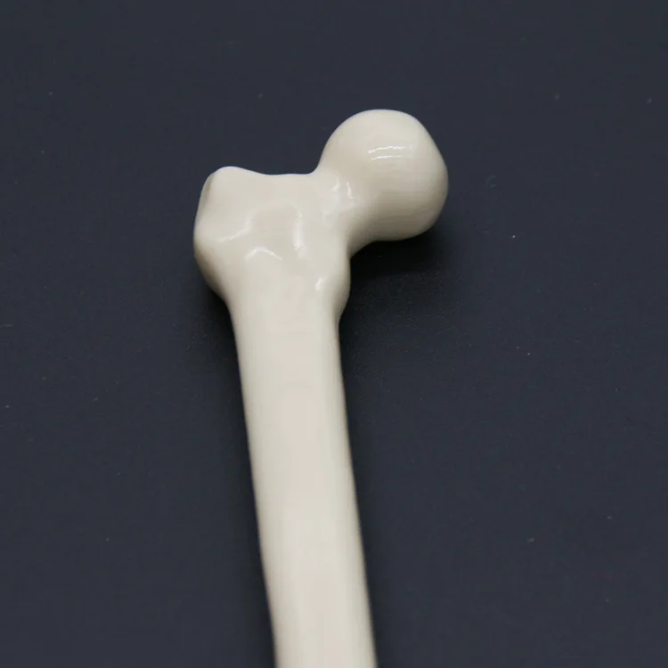 5pcs/lot Ballpoint Pen Bone Realistic Head Korean Stationery Novelty Pens Creative New Student Award School Supplies | Канцтовары для