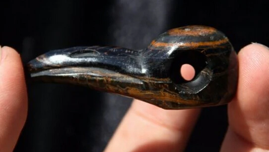 

NATURAL PRETTY Tiger's EYE QUARTZ CRYSTAL BEAK CARVING
