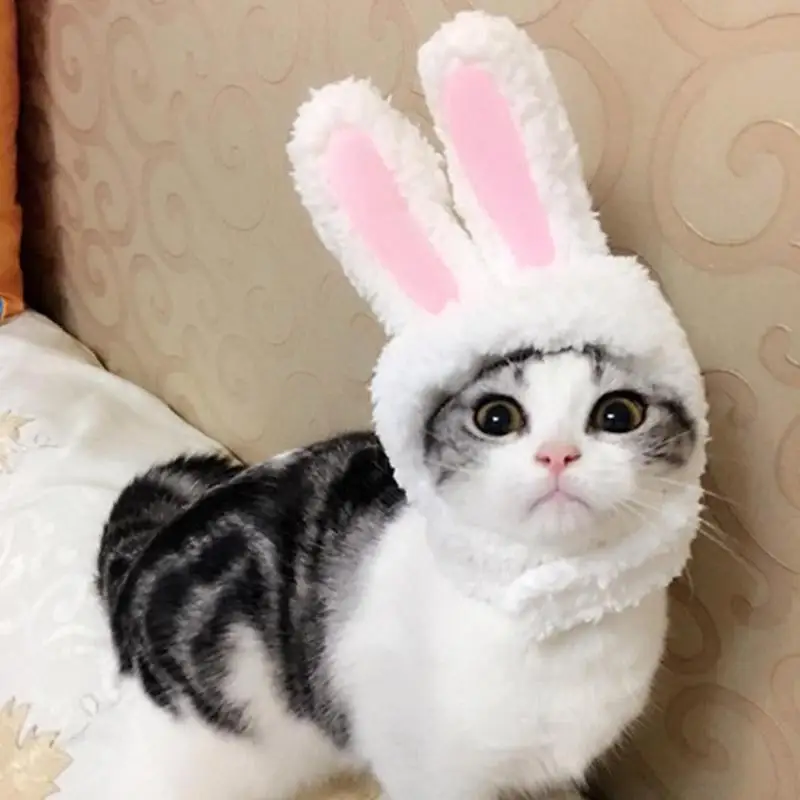 Милый костюм для питомца шапка с кроличьими ушками косплея кошек одежда на
