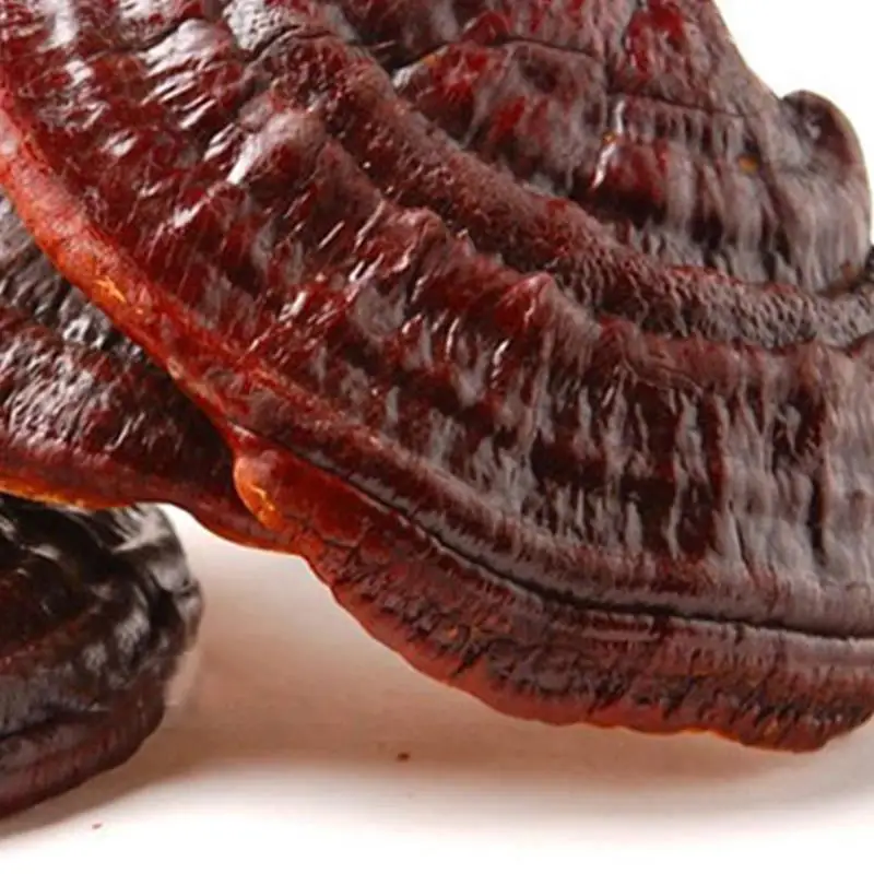 200 г Ganoderma Lucidum Paekdusan фитотерапия природные сушеные Lingzhi рейши грибы анти - рак