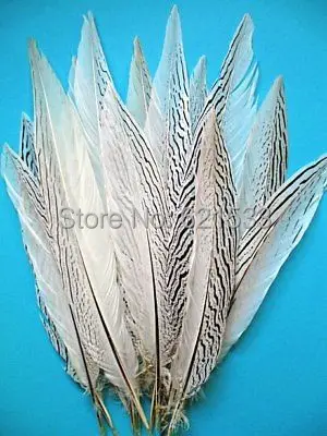

50 шт./лот перья фазана серебряные хвосты 10-12 дюймов 25-30 см-Craft Millinery Fly Fishing, натуральные свободные перья