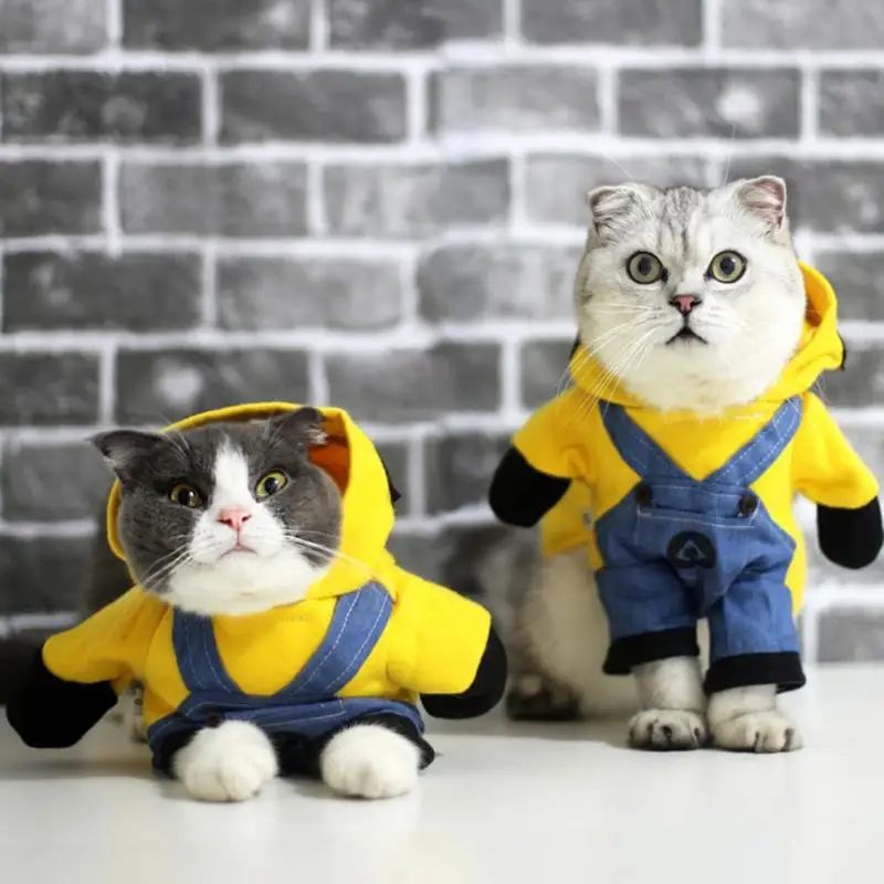 Маленькая Собака Кошка Косплей Одежда с милыми миньонами из мультфильма Толстовка для питомца костюм Одежда для щенков для собак кошек зима осень теплое пальто