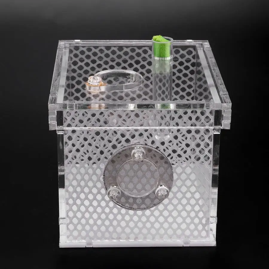 Портативная коробка для рептилий ящерицы акриловая прозрачная аквариума ящик