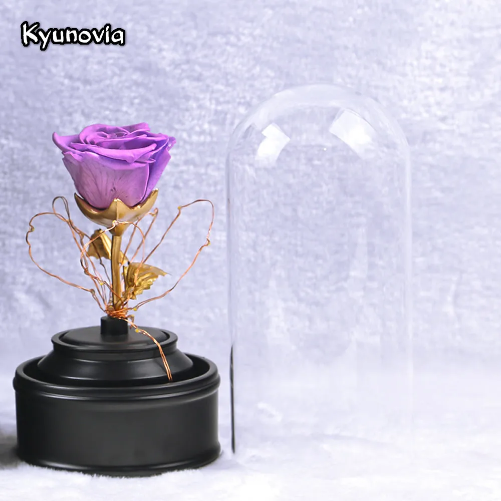 Kyunovia свежий сохраненный настоящий цветок розы со светодиодной подсветкой