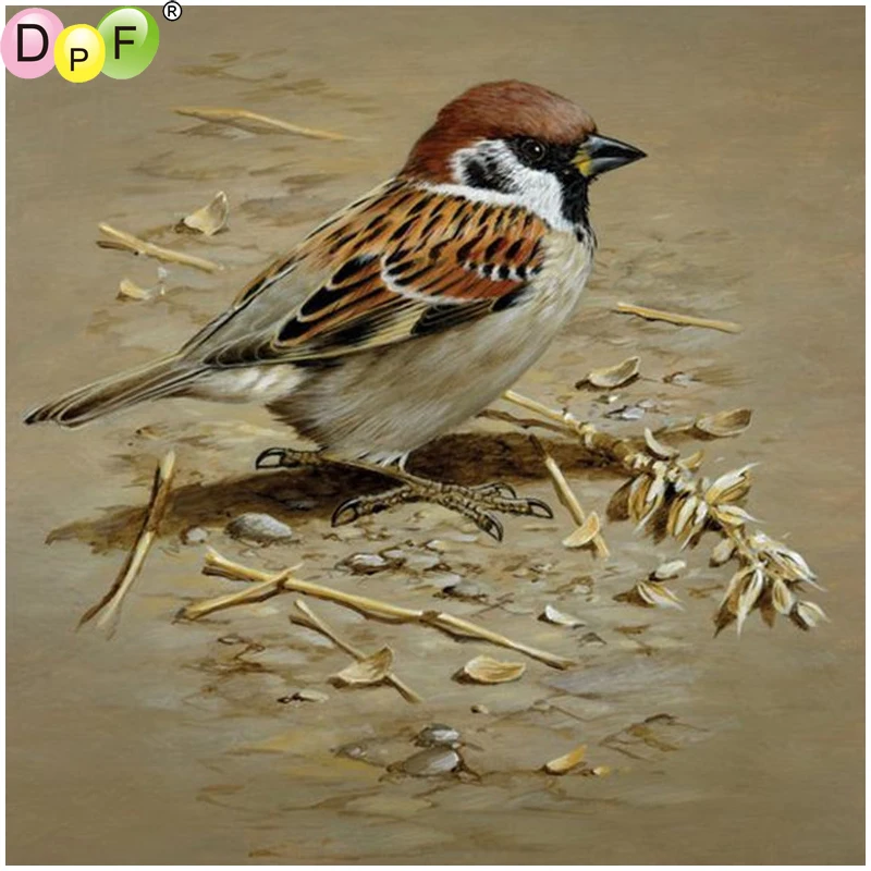 DPF DIY Land birds 5D алмазная живопись вышивка крестиком Алмазная мозаика