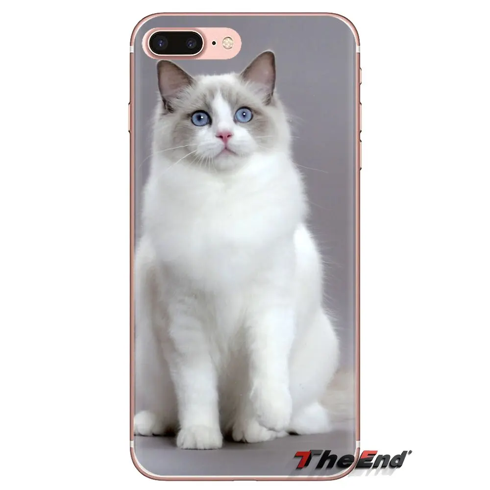 Pet ragdoll кошачьи голубые глаза прозрачные мягкие чехлы для iPod Touch Apple iPhone 4 4S 5 5S SE 5C 6 6S