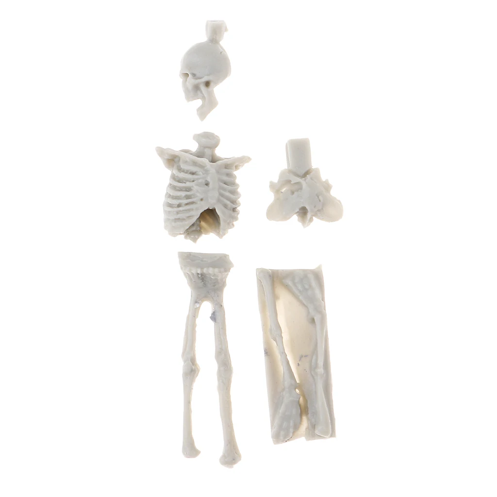 

1:35 Scale Mini Sand Table Scene Layout Resin Skull Skeleton Model Toy