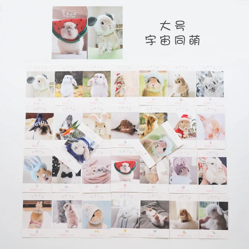 

30 Pcs/Set Lovely Bunny Rabbit Postcard/Greeting Card/Message Card/Birthday Letter Envelope Gift Card