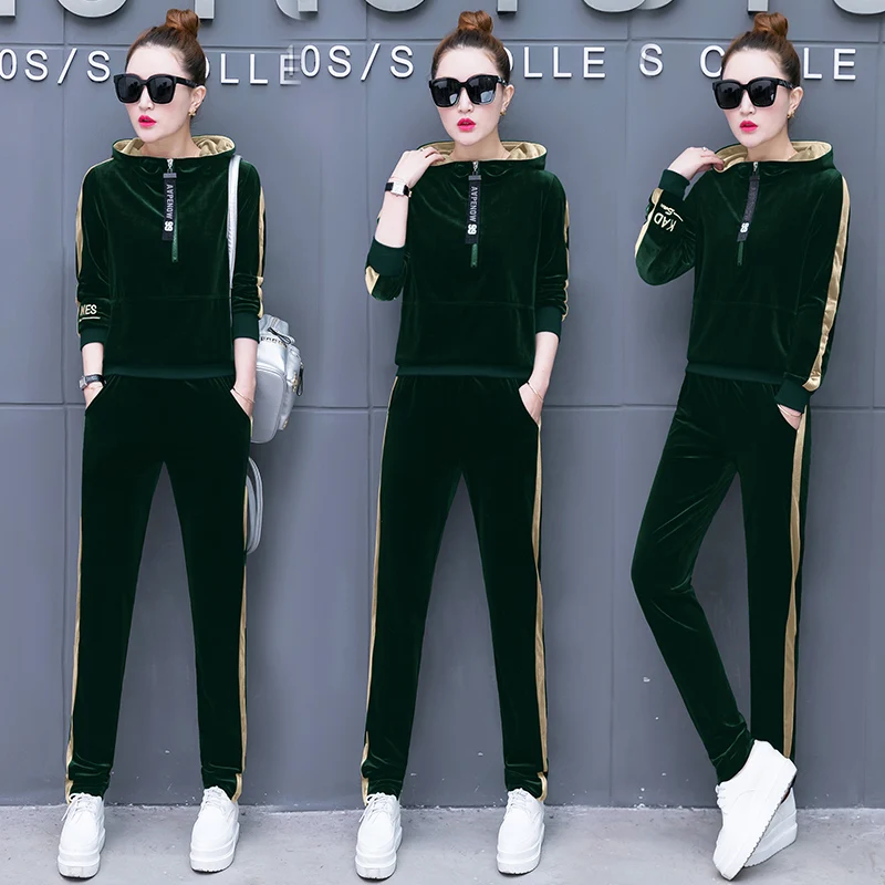 

Pleuche hooded long-sleeved set 2018 spring autumn new women clothing korean fashion leisure two-pcs casual velvet clothes