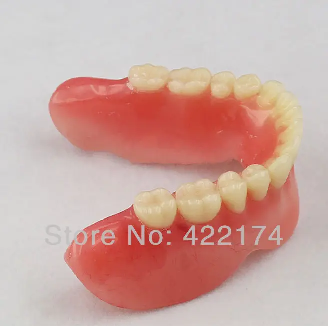 

Free Shipping Implant model of the lower jaw dental tooth teeth dentist denanatomical anatomy model odontologia mandible