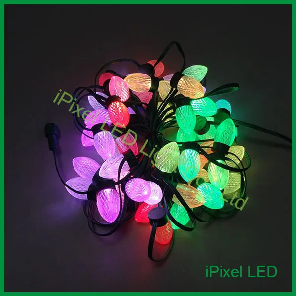 D24 цифровой 2 SMD5050 RGB светодиодный Рождественский свет водонепроницаемый WS2811