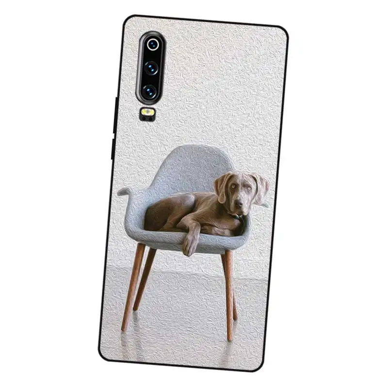 N464 Weimaraner Cute Black Silicone Case Cover For Huawei P8 P9 P10 P20 P30 Lite Pro P Smart Plus 2017 2019 |