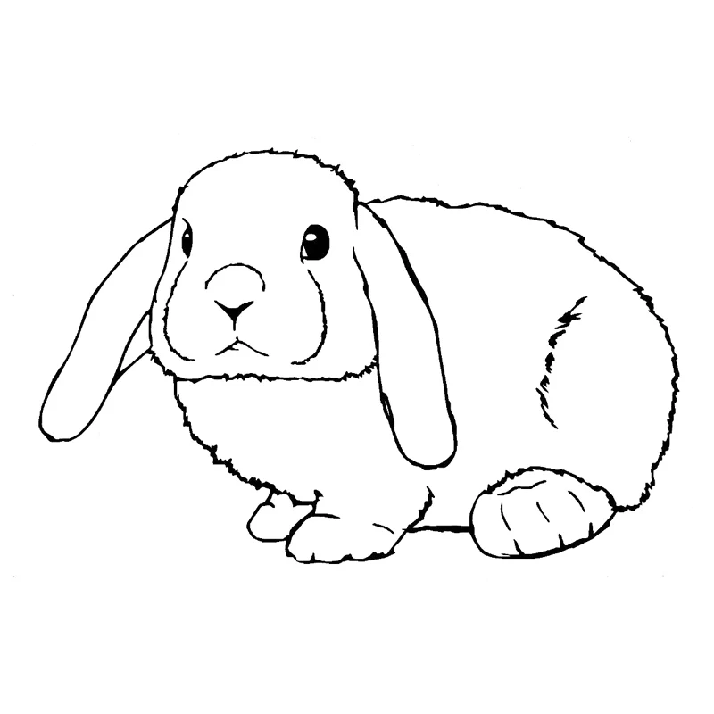 

19.5cm*12.6cm Rabbit Lop Eared Animal Car Styling Stickers Decals Vinyl Decor Black/Silver S3-6917