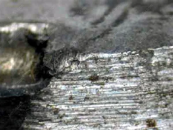 Металлургический микроскоп Infinity Plan AmScope 40X-800X металлургический + Цифровая камера