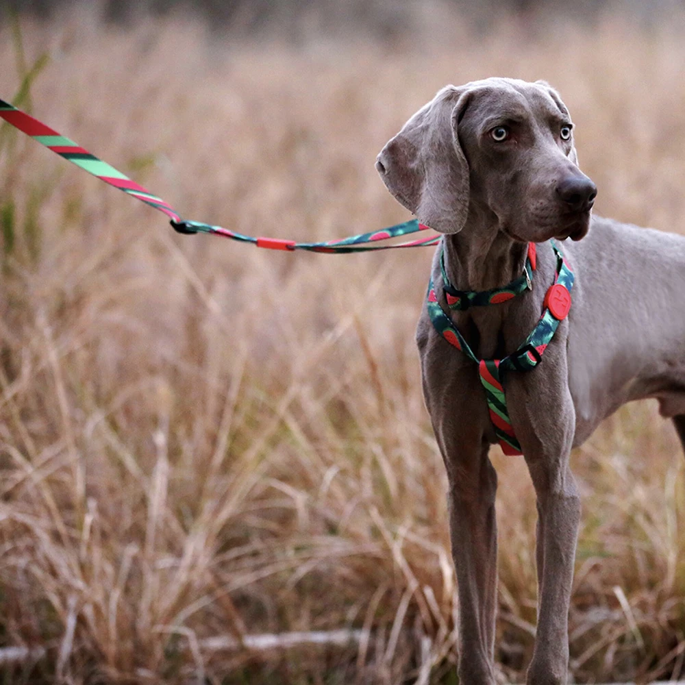 Мягкий поводок для собаки тренировочный повод собак новый дизайн ходящая собака