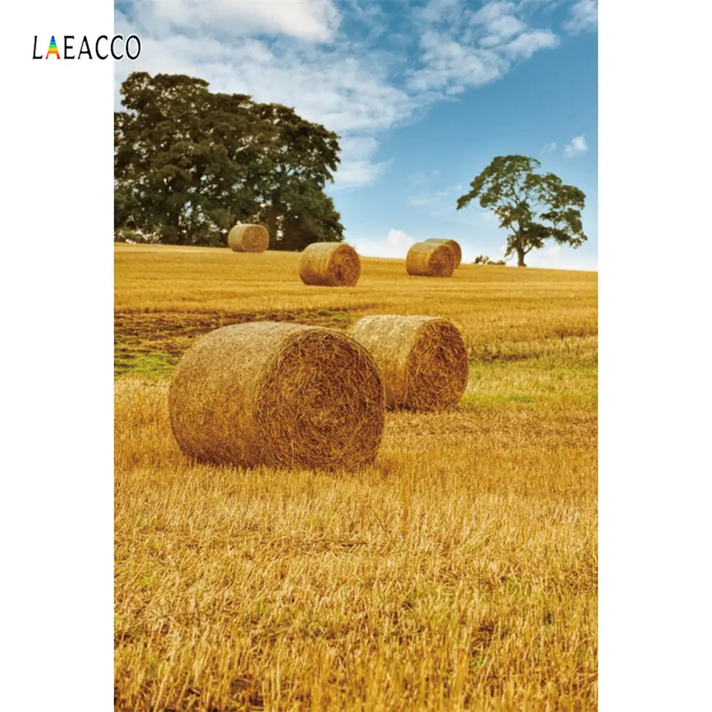 Laeacco Фото фоны сельская ферма в земле сена сельское хозяйство природные