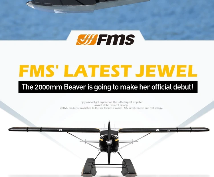 FMS 2000 мм 2,0 м(78,") Beaver DH-2 водный морской самолет Gaint модель самолет для хобби Avion PNP с закрылками втягивается(поплавки опционально