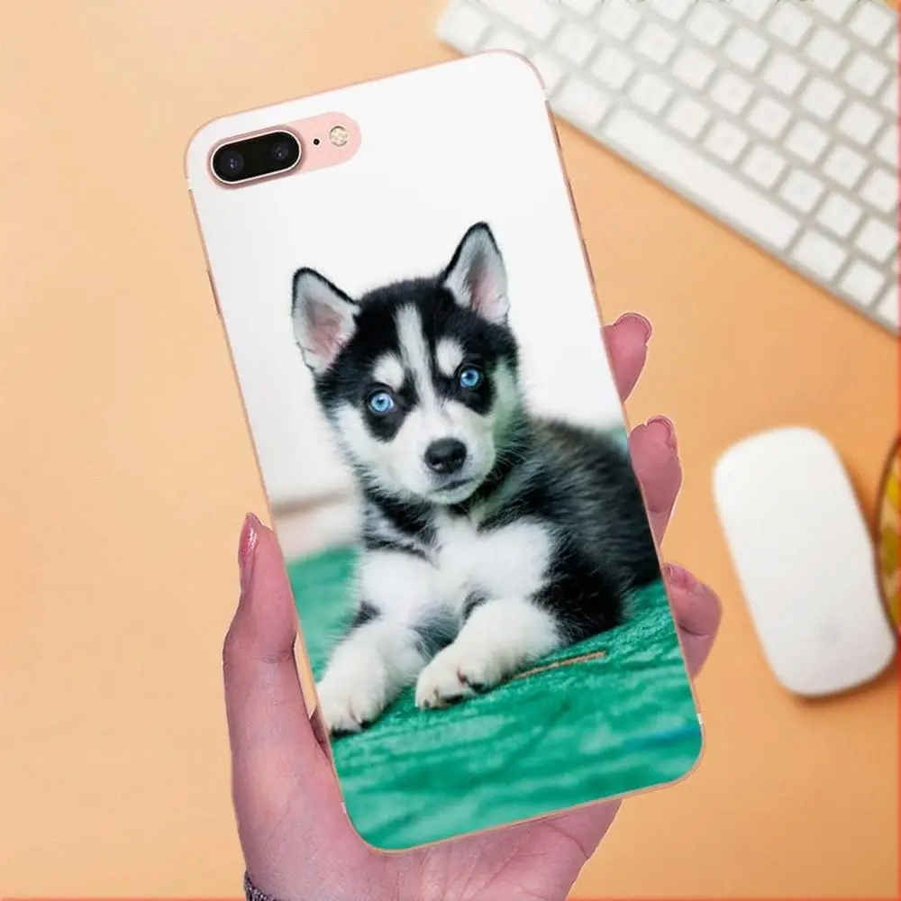 Ультратонкий чехол для телефона Sony Xperia Z Z1 Z2 Z3 Z4 Z5 compact Mini M2 M4 M5 T3 E3 E5 XA XA1 XZ Premium Husky Dog