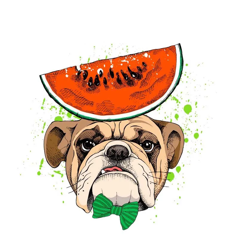YJZT 14CM*13.5CM A Dog Eating Watermelon Decal Sticker Car PVC 12-300497 | Автомобили и мотоциклы
