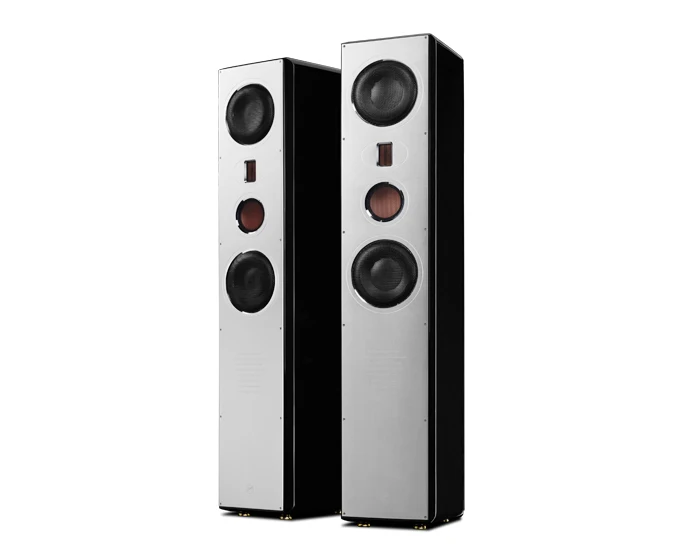 HIVI Swans RH6HT Система домашнего кинотеатра главный HiVi RH6F центр Surround RH6R передний