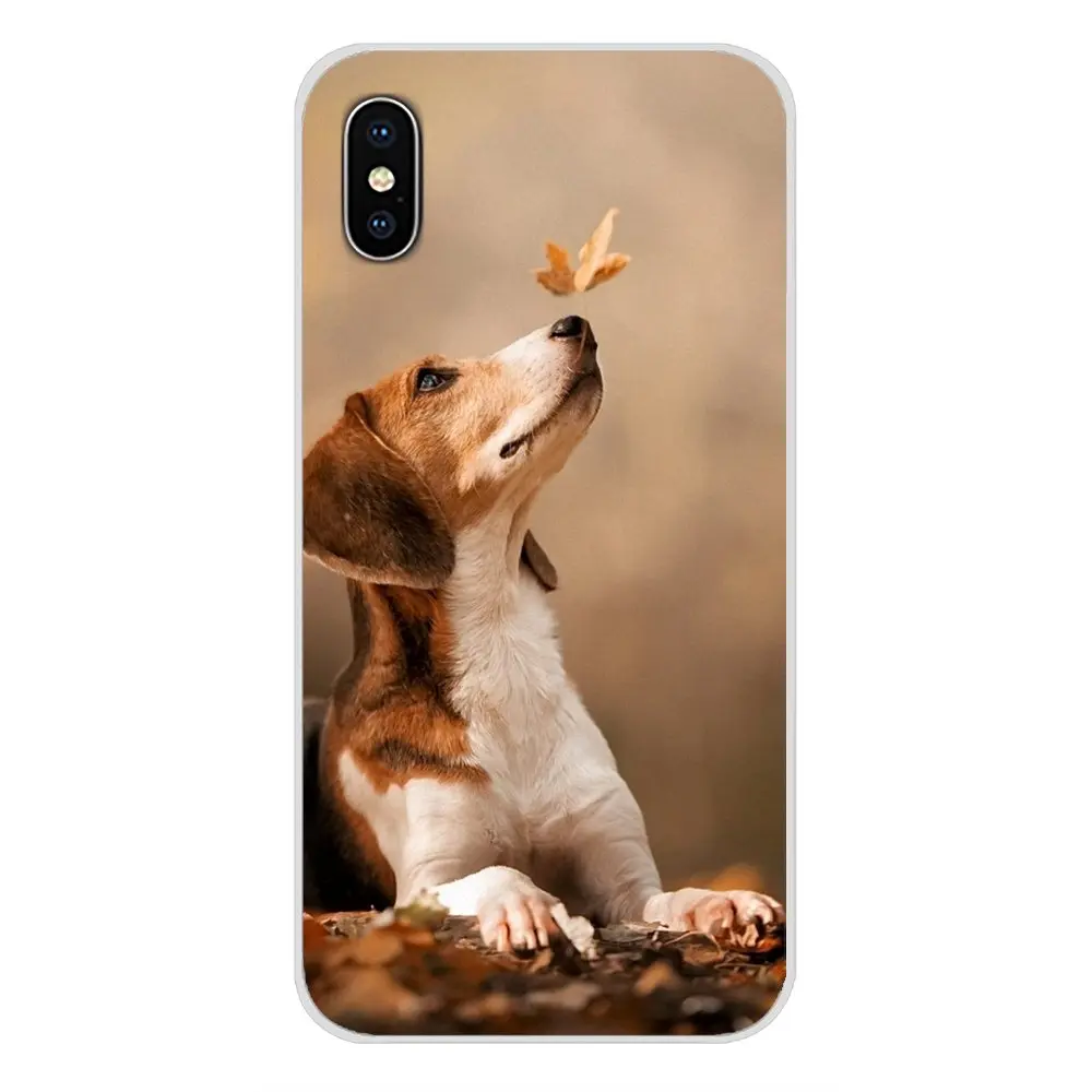 Все виды постов beagle для Apple iPhone X XR XS MAX 4 4S 5 5S 5C SE 6 6S 7 8 Plus ipod touch TPU Прозрачный чехол |