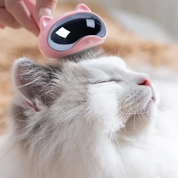 Космическая кошка расческа для животных чистая красота удаление волос щетка