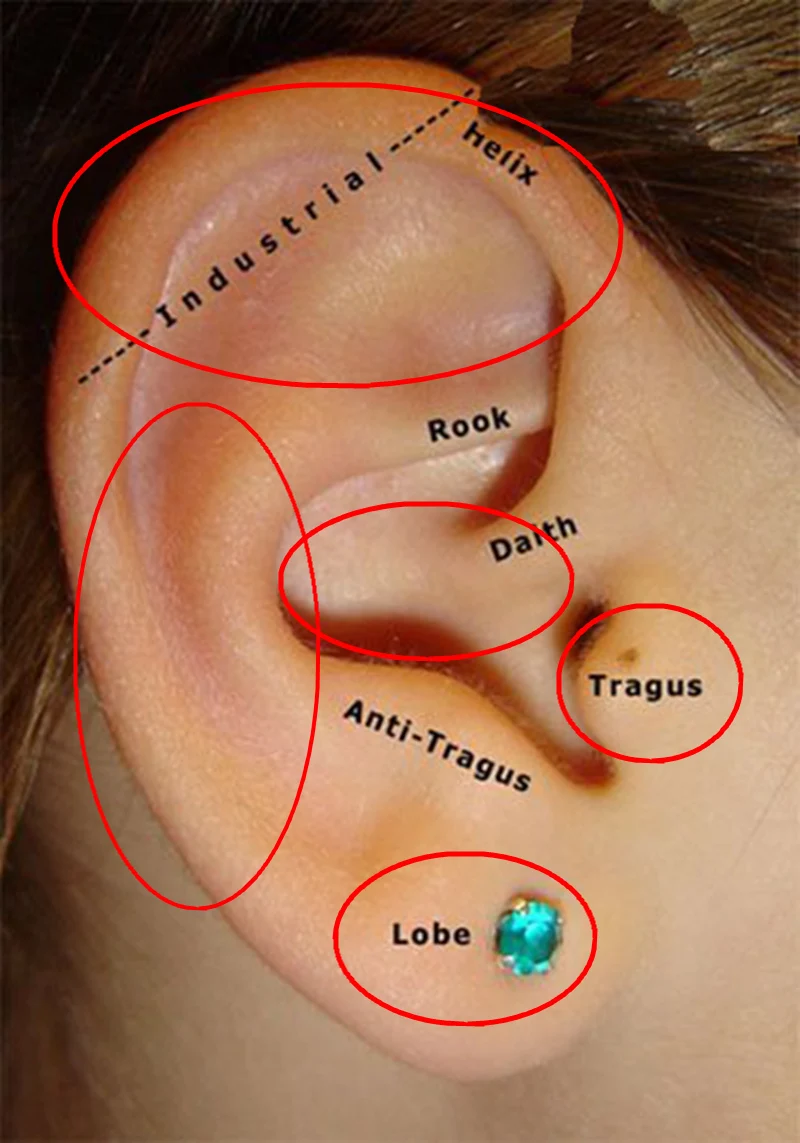 Пирсинг ушей хеликс флэт. Как правильно прокалывать мочку. Индастриал дейс трагус. Серьга в козелок. Как правильно прокалывать мочку.