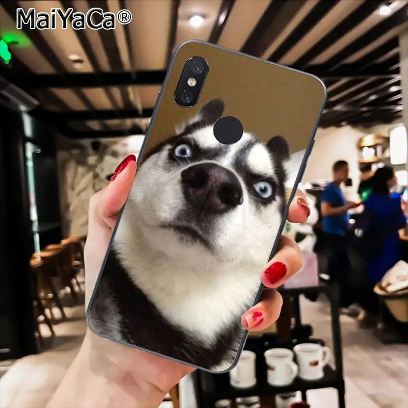 MaiYaCa породы Хаски; милый щенок собака чехол для телефона для Xiaomi Redmi8 4X 6A S2 7A 6A Redmi 5 5Plus Note5 7 Note8Pro