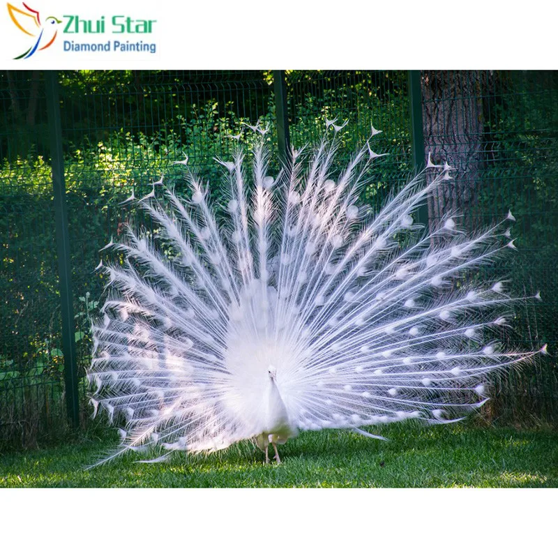 Zhui Star 5D DIY квадратная картина из страз вышивка крестиком белый павлин Стразы