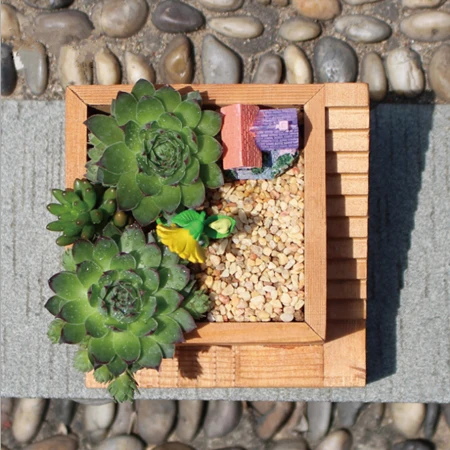 Суккулентные растения деревянный квадратный шаг цветочный горшок DIY кактус
