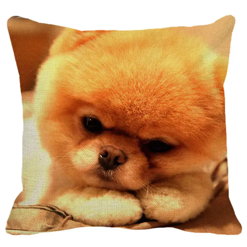 XUNYU 45*45 см Милая женская наволочка Shunsuke наволочки для диванной подушки домашняя