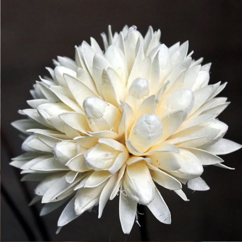 1 pc dried flower Натуральный высушенный цветок магнолии, маленький искусственный цветок, домашний обеденный декор, искусственный высушенный цветок - Цвет: 1 pc dried flower