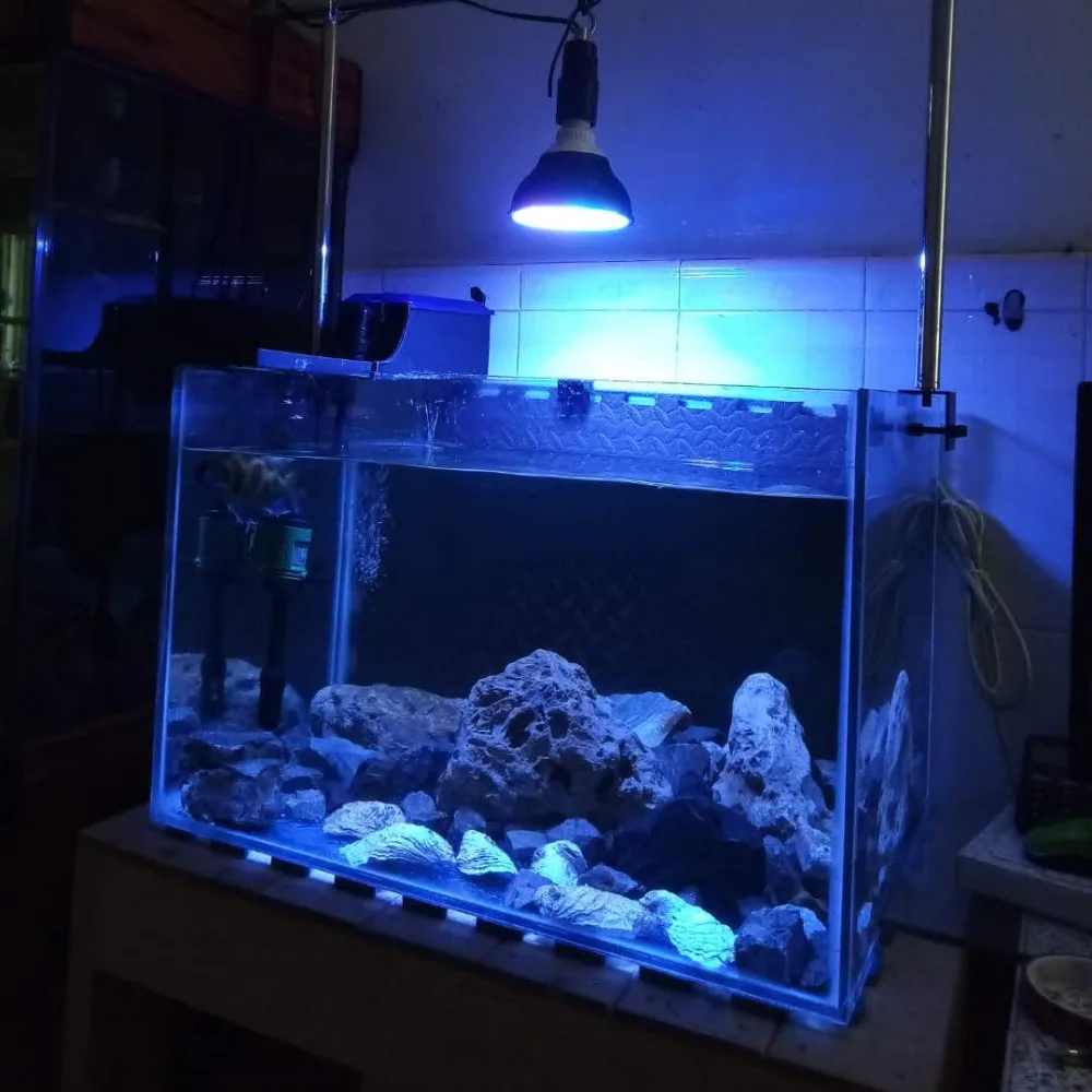 Black spotlight LED Aquarium light led pet Lighting fish tank lamp plant bulb 50/54W for saltwater marine coral reef sump algae
